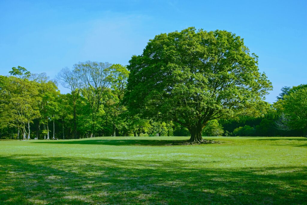 熊本市東区の小楠公園
