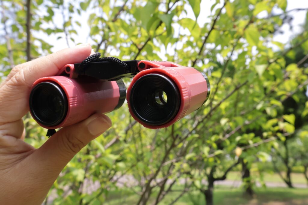 福岡県大野城のバードウォッチングの双眼鏡