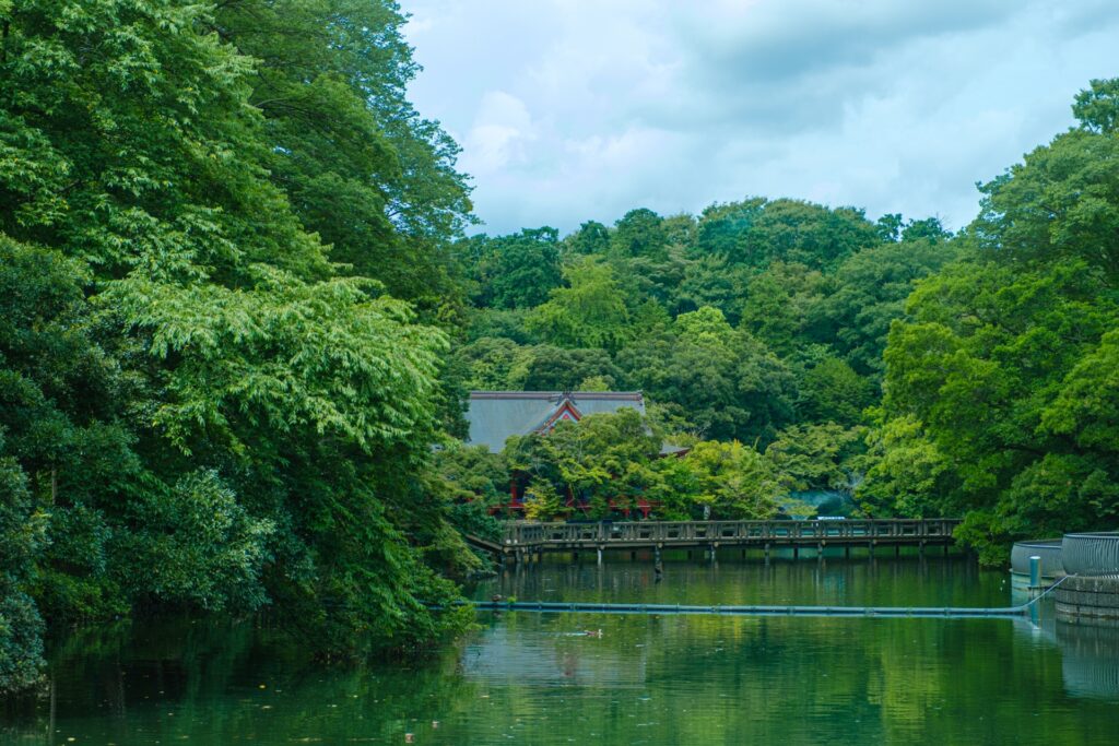 東京都三鷹市の井の頭恩賜公園の池