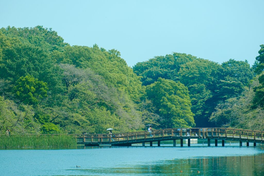 東京都三鷹市の井の頭恩賜公園の池