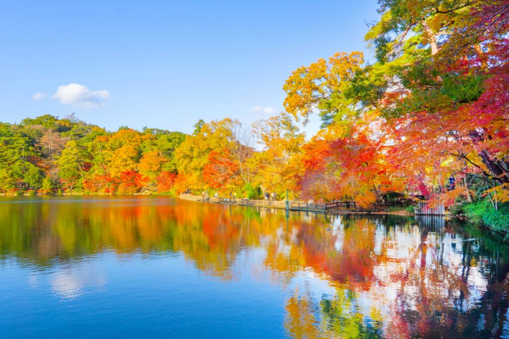 神戸市西区の紅葉風景