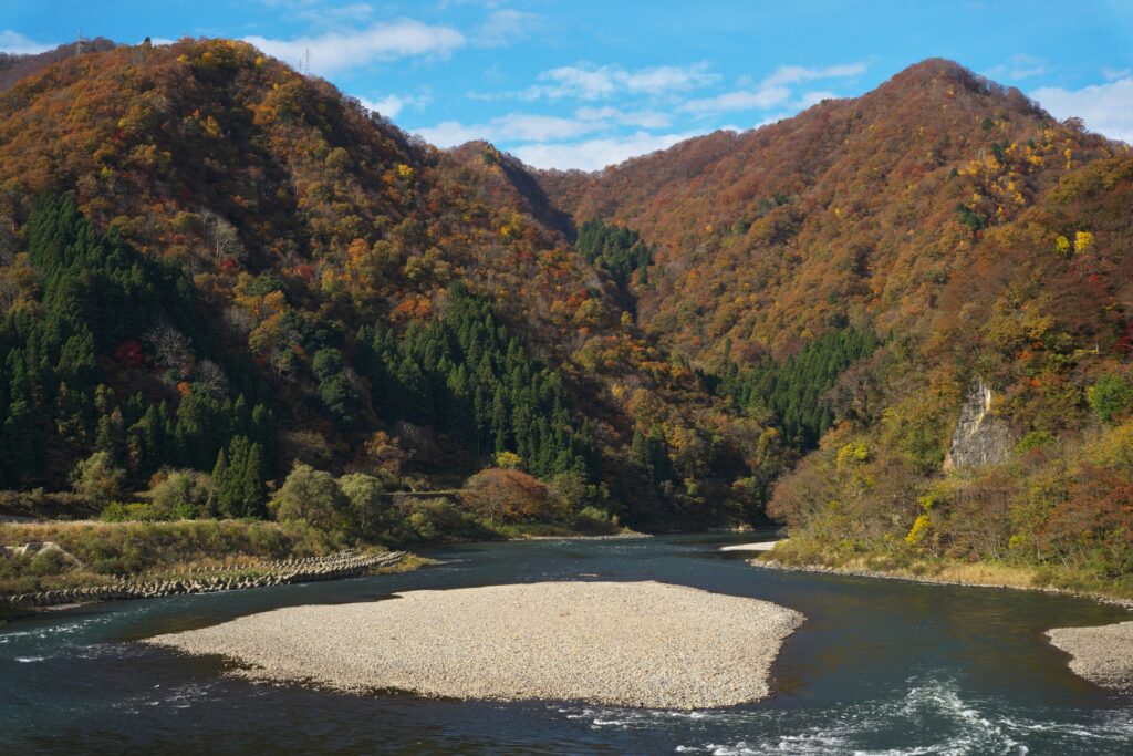 新潟県新潟市東区の阿賀野川