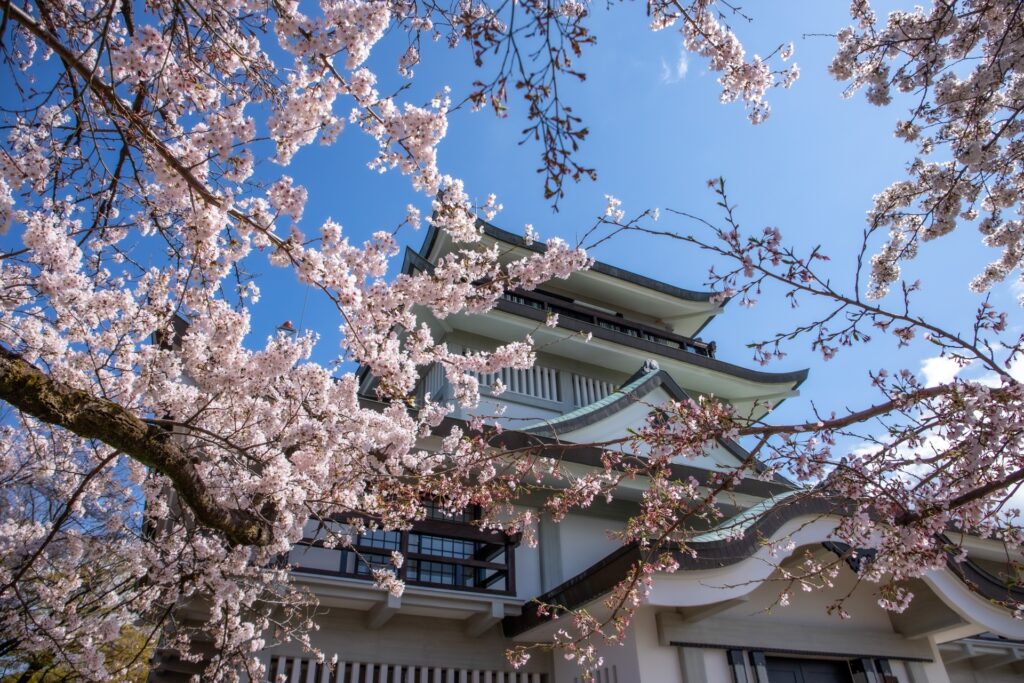 愛知県小牧市の小牧城と桜