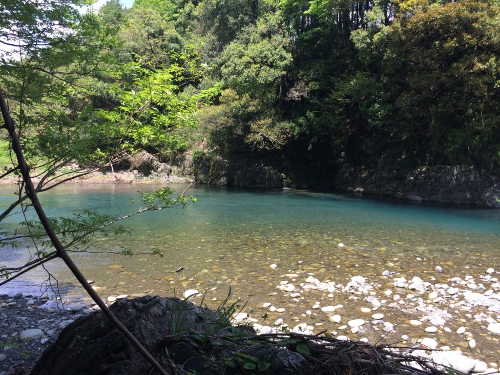 熊本市南区の加勢川 熊本市南区の加勢川