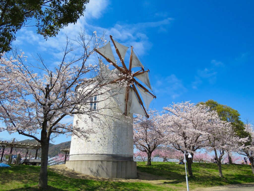 岡山市南区のサウスヴィレッジの芝生広場