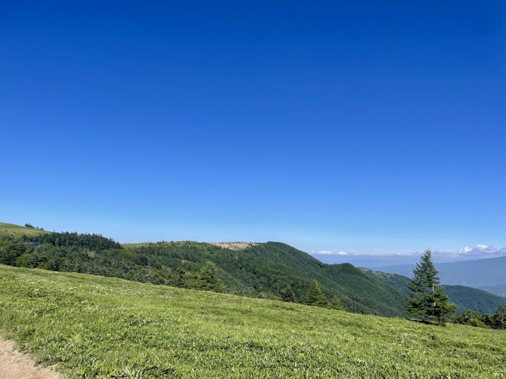 上田市の美ヶ原高原