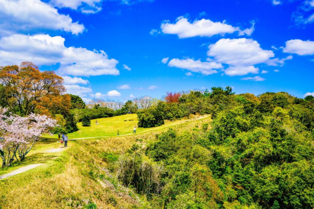 大野城市の大野城の春の風景
