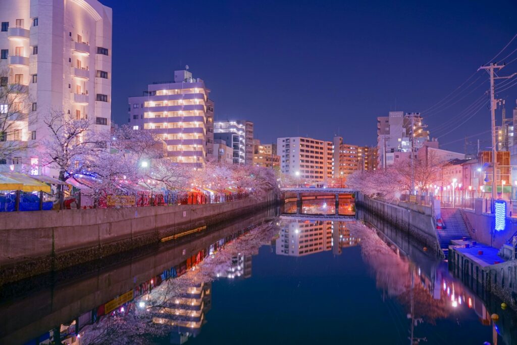 大岡川の夜桜ライトアップ 神奈川県横浜市の大岡川の夜桜ライトアップ