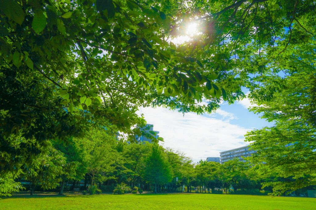東京都昭島市の昭和公園