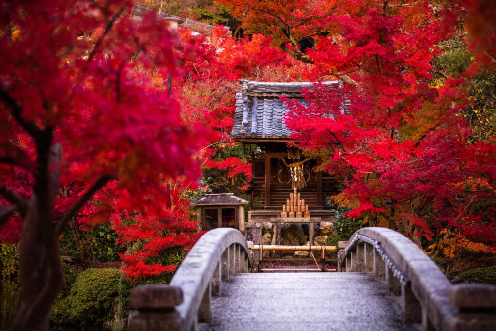 左京区の永観堂