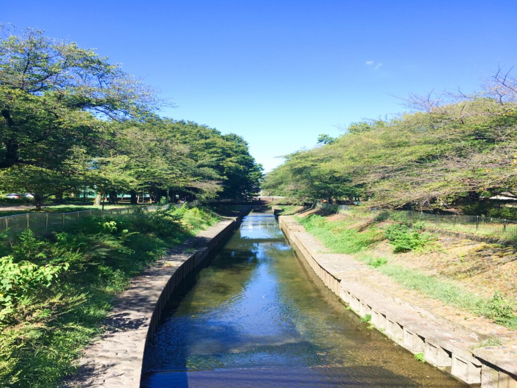 杉並区の善福寺川緑地の遊歩道
