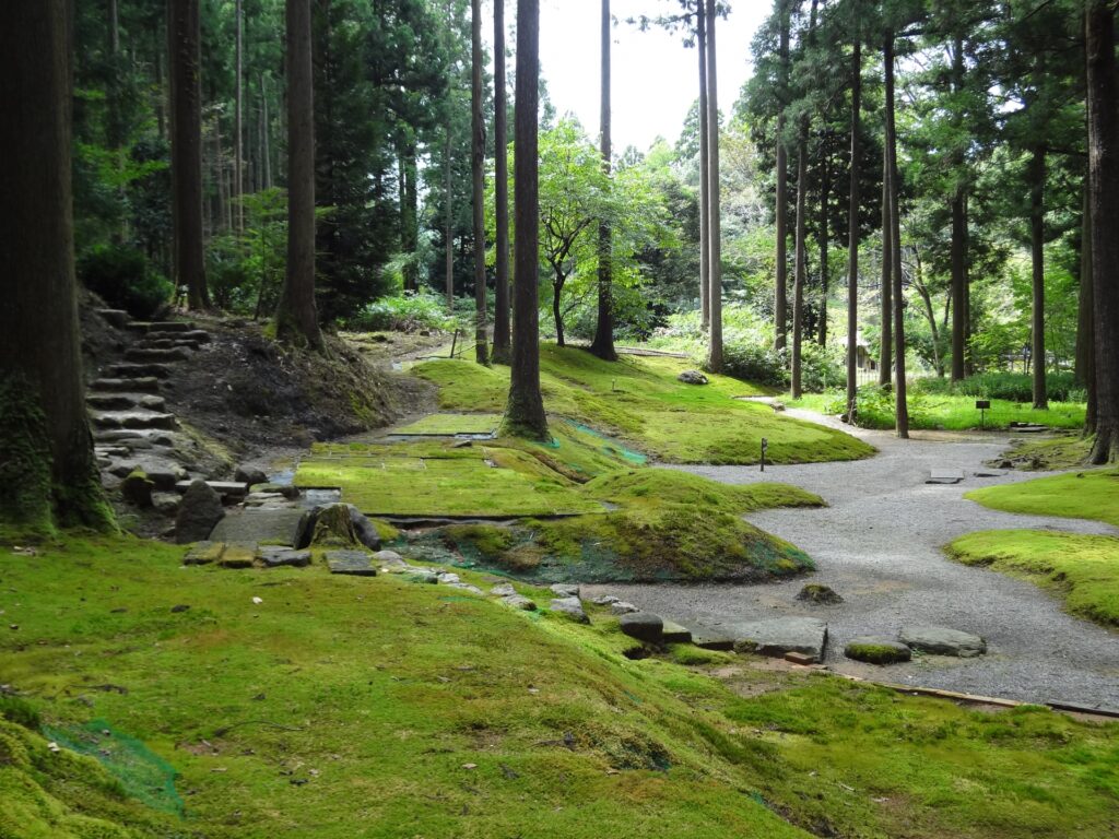 神奈川県海老名市の里山への小道 神奈川県海老名市の里山への小道