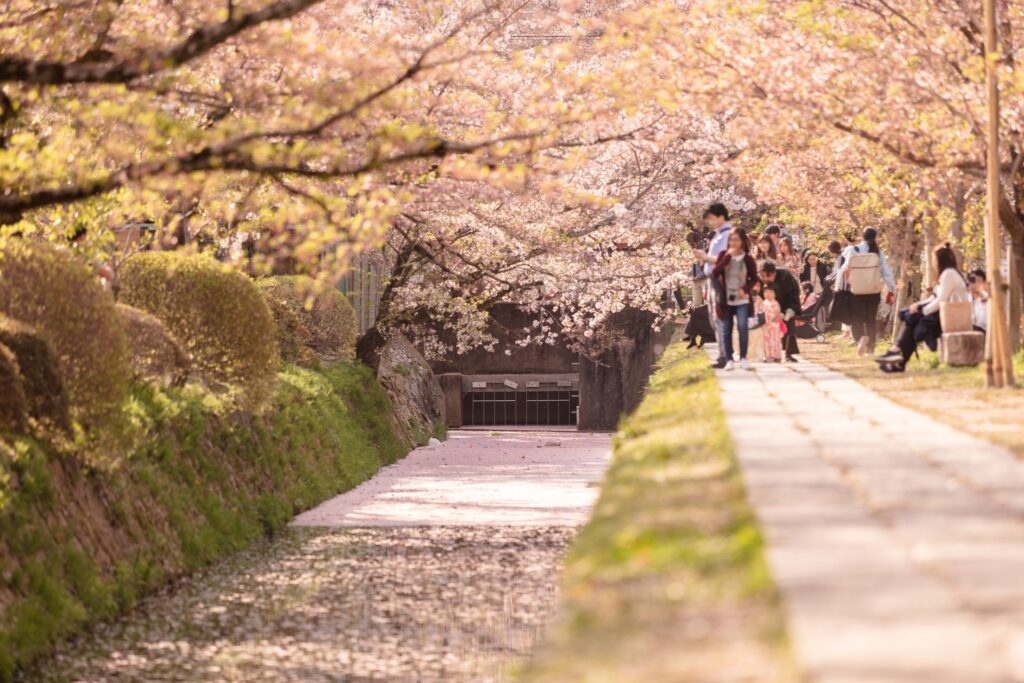 左京区の哲学の道