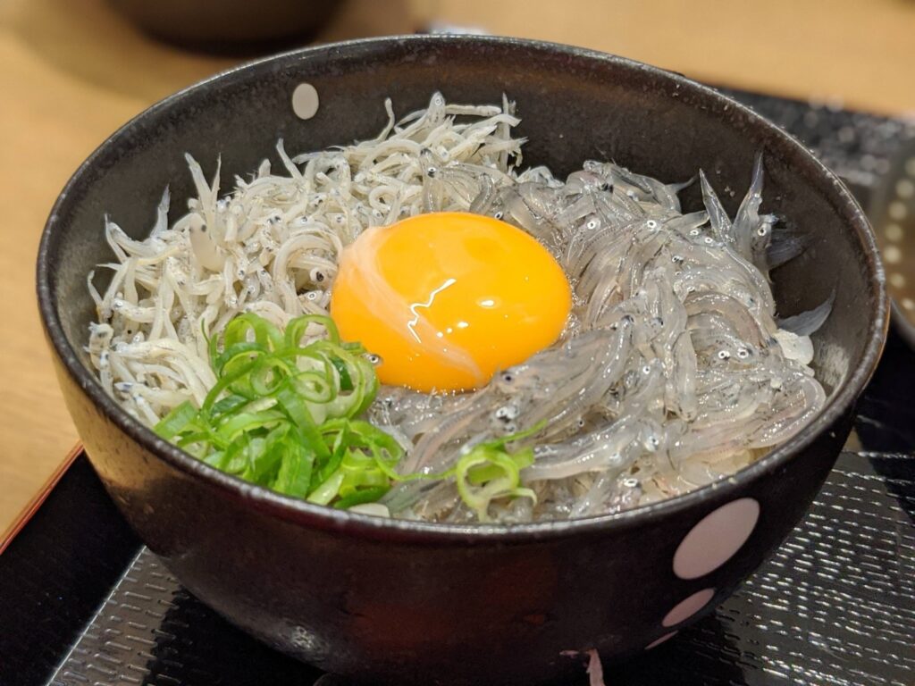 茅ケ崎市生しらす丼