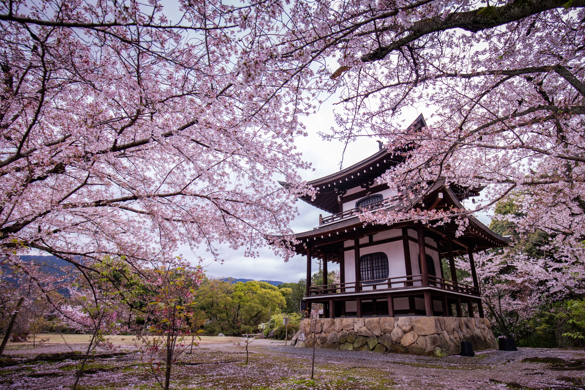 山科区