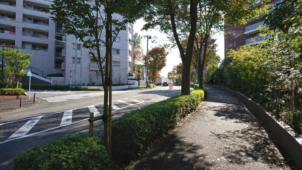 横浜市瀬谷区の三ツ境駅周辺の街路樹
