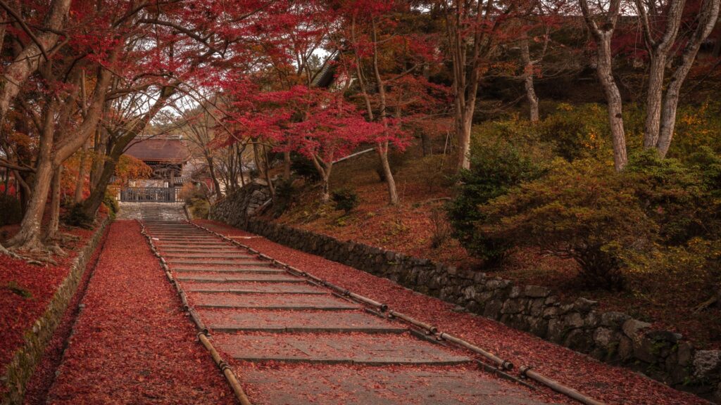 京都市山科区の毘沙門堂の紅葉