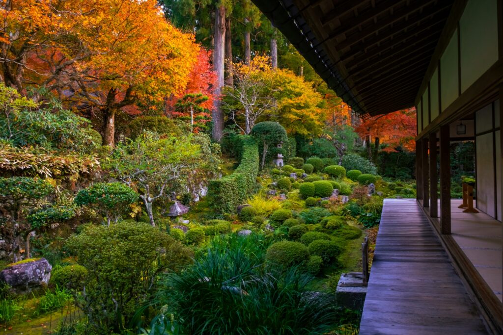 京都府京都市左京区の三千院