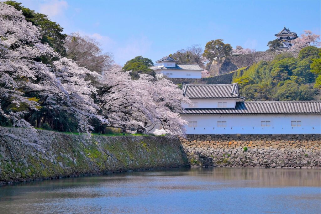 滋賀県彦根市の彦根城と堀