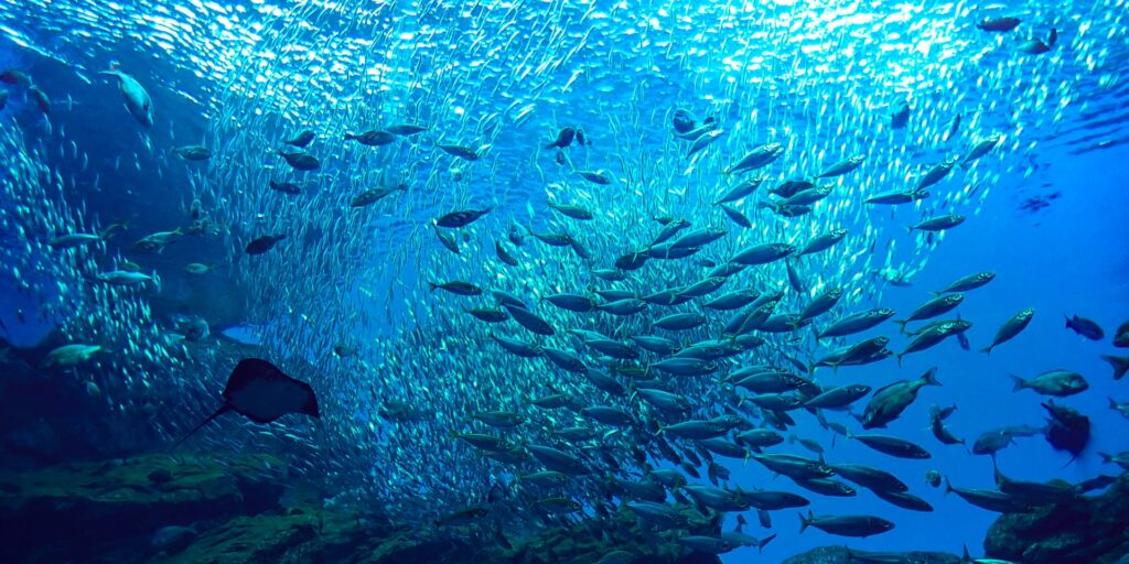各務原市水族館