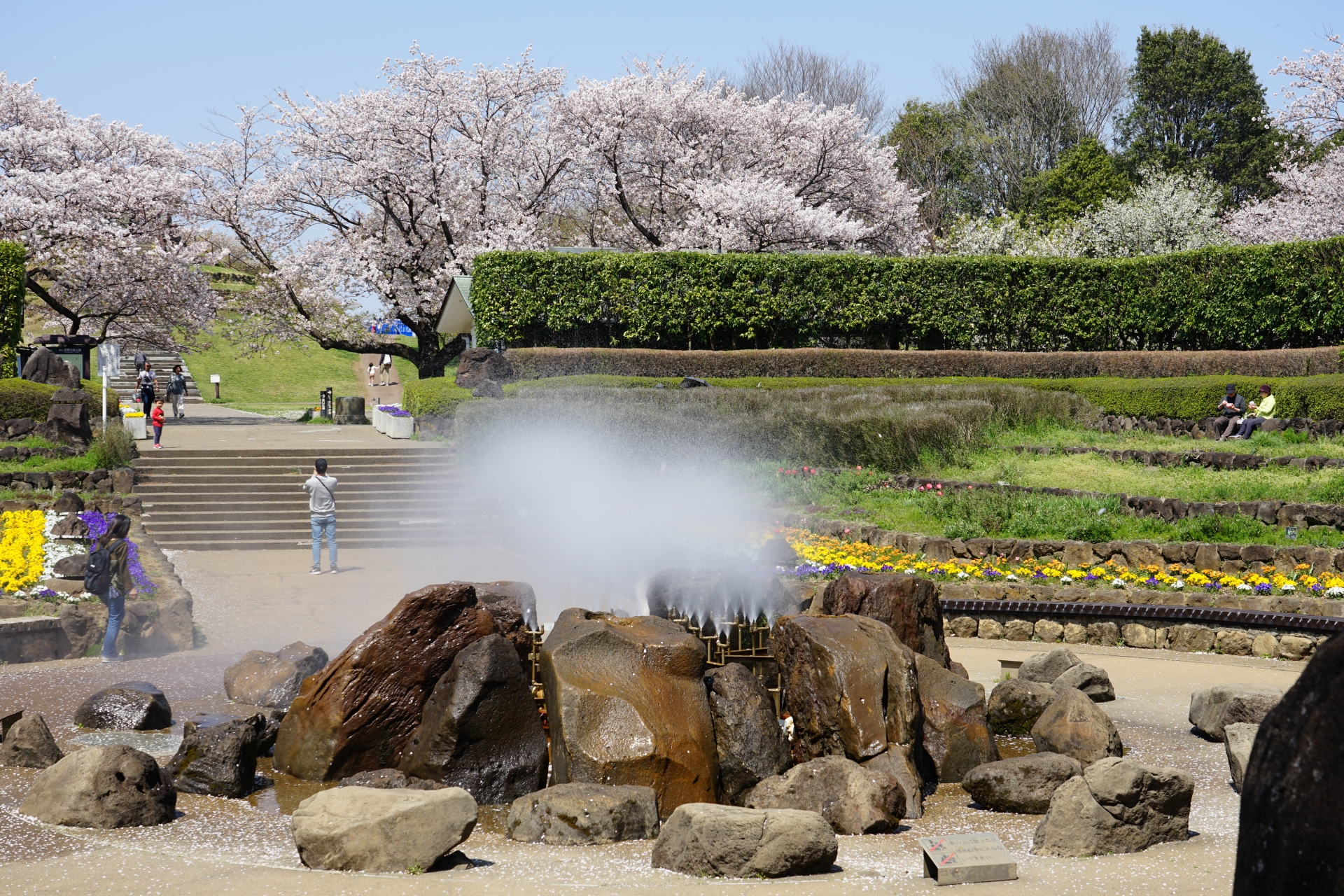 横浜市の四季の森公園
