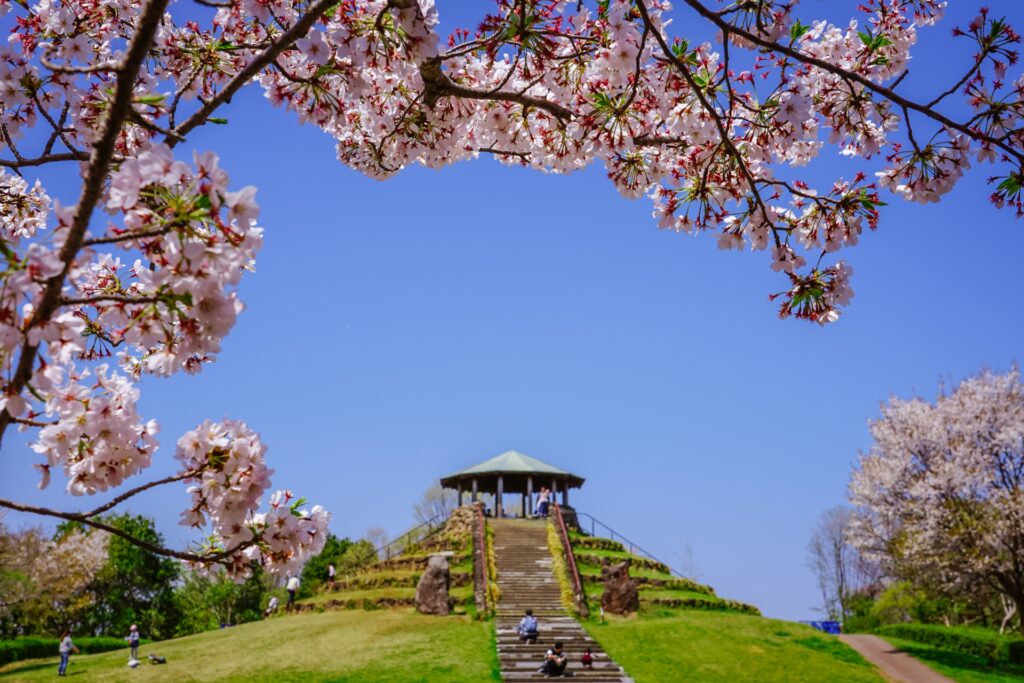 横浜市緑区の四季の森公園