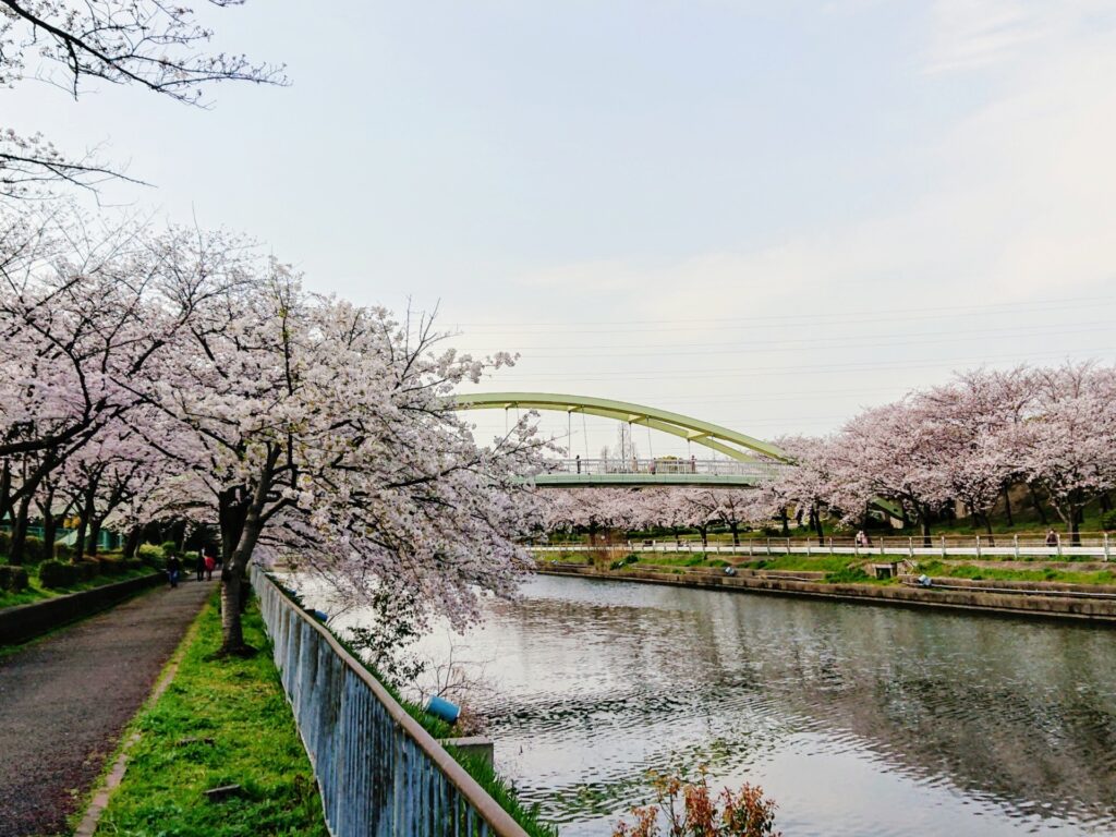 愛知県名古屋市中川区の夕暮れの荒子川