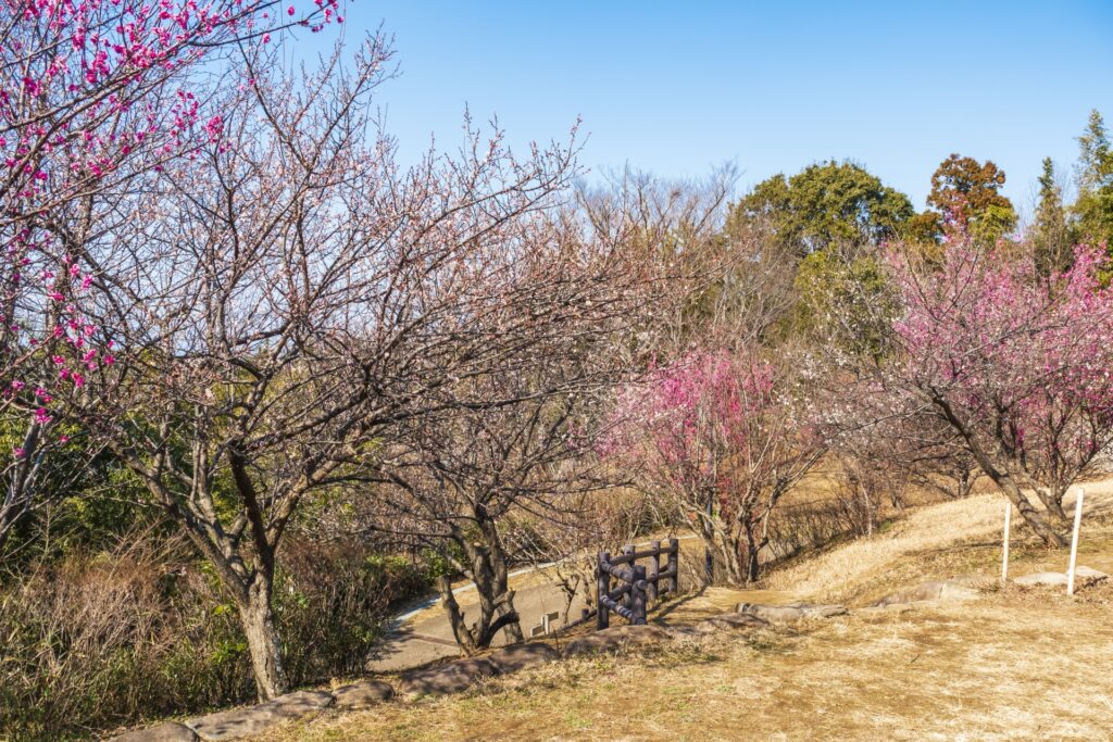 横浜市栄区の公園