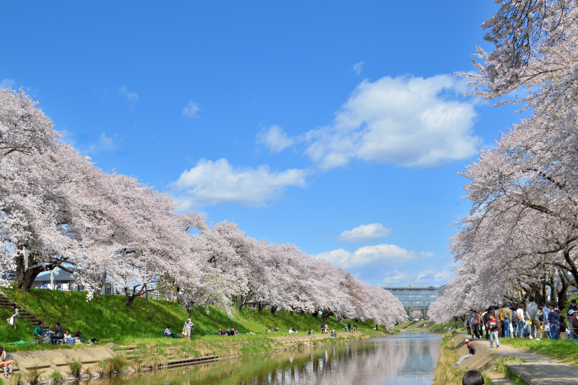 神奈川県横浜市泉区で自然と歴史を歩く街旅 境川遊水地公園・いずみ中央・和泉川