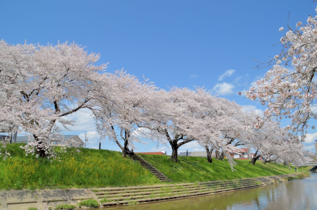 横浜市泉区の境川と公園の風景