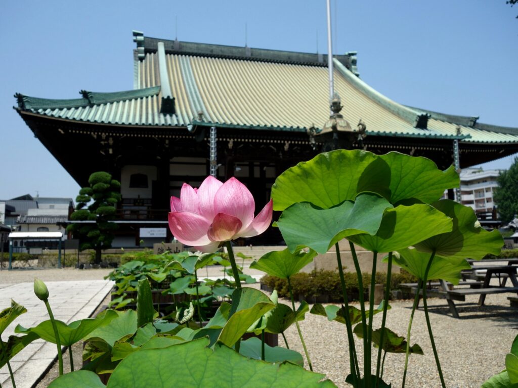 平野区の大念仏寺