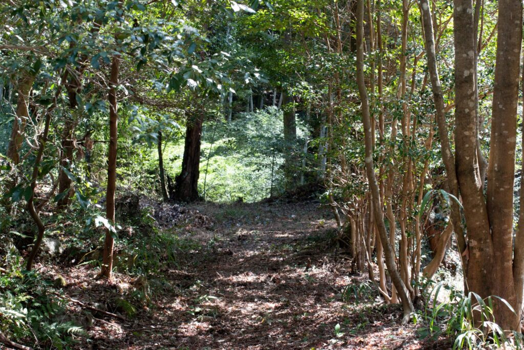 西尾市の猿投山