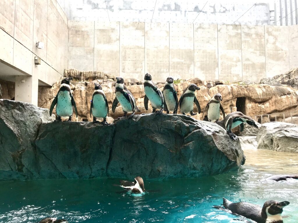 佐世保市の森きらら