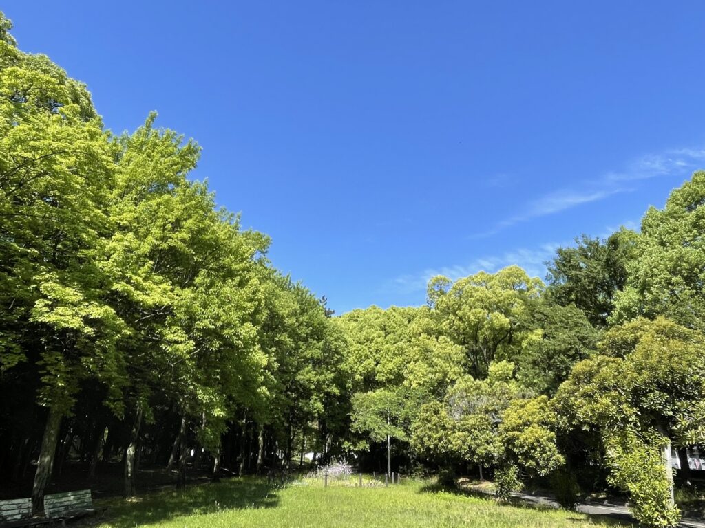 大江川緑地の遊歩道