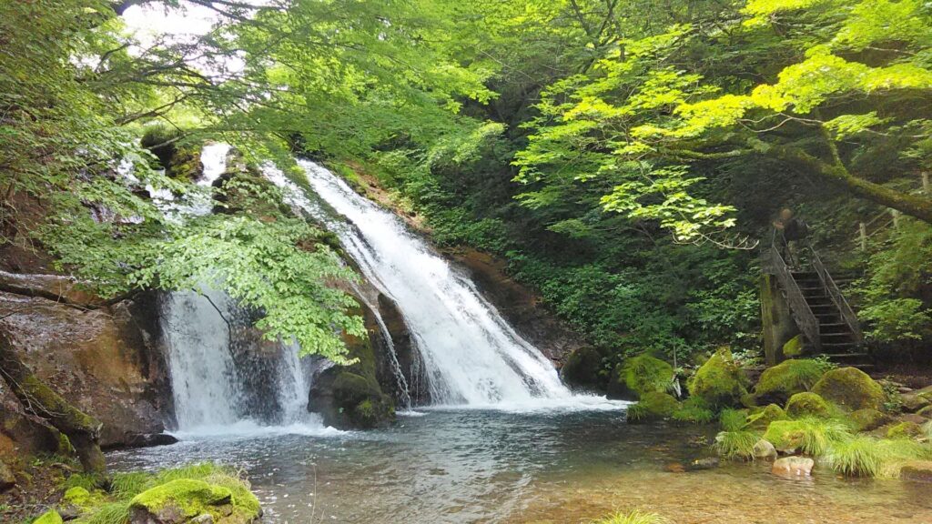 秦野市名水スポットの湧水池
