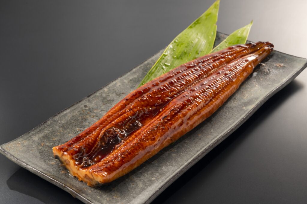 うなぎの蒲焼き 浜松市中央区のうなぎ料理