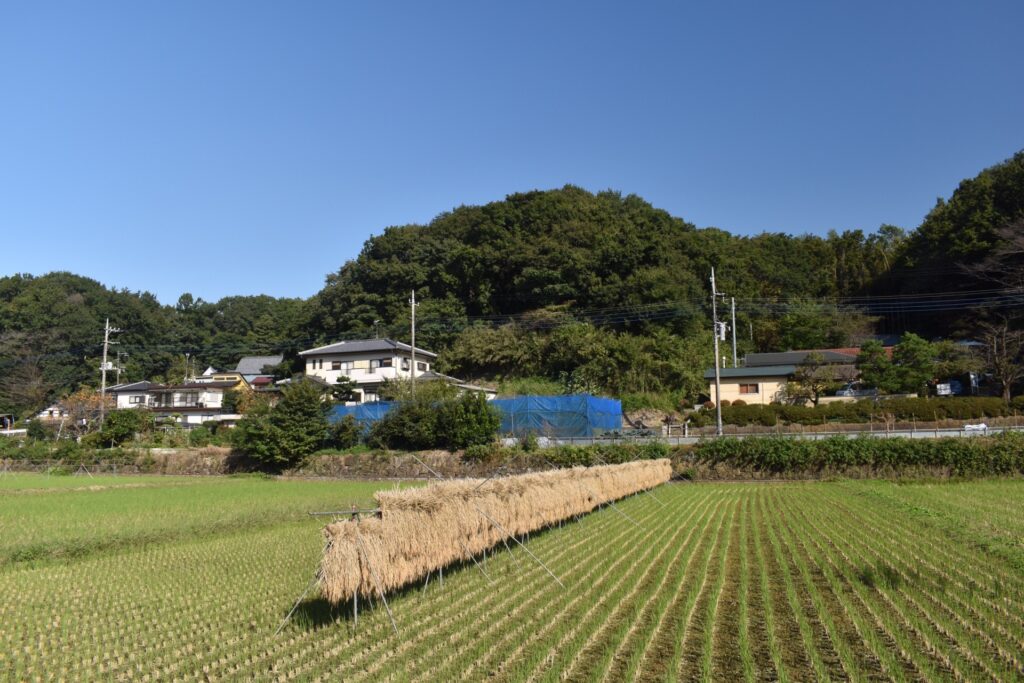 神奈川県横浜市青葉区の寺家ふるさと村