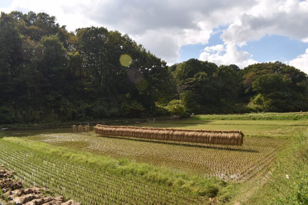 横浜市青葉区の寺家ふるさと村の田園風景