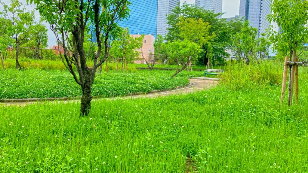 東海市の町中の緑地