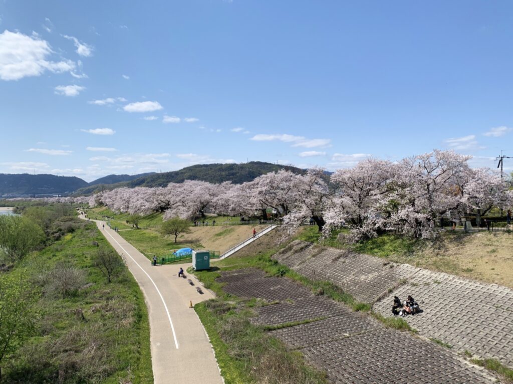 守口市の淀川河川公園