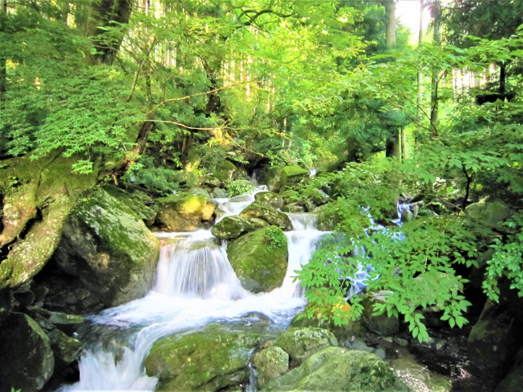 加茂川沿いを散策する人々と石鎚山の風景