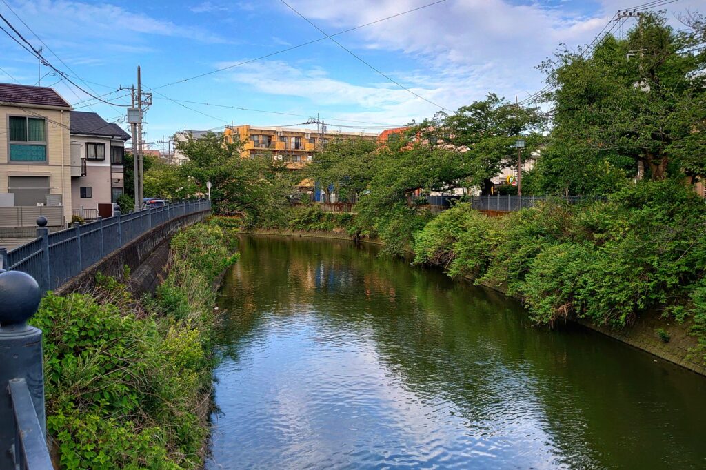 神奈川県横浜市南区の大岡川の支流