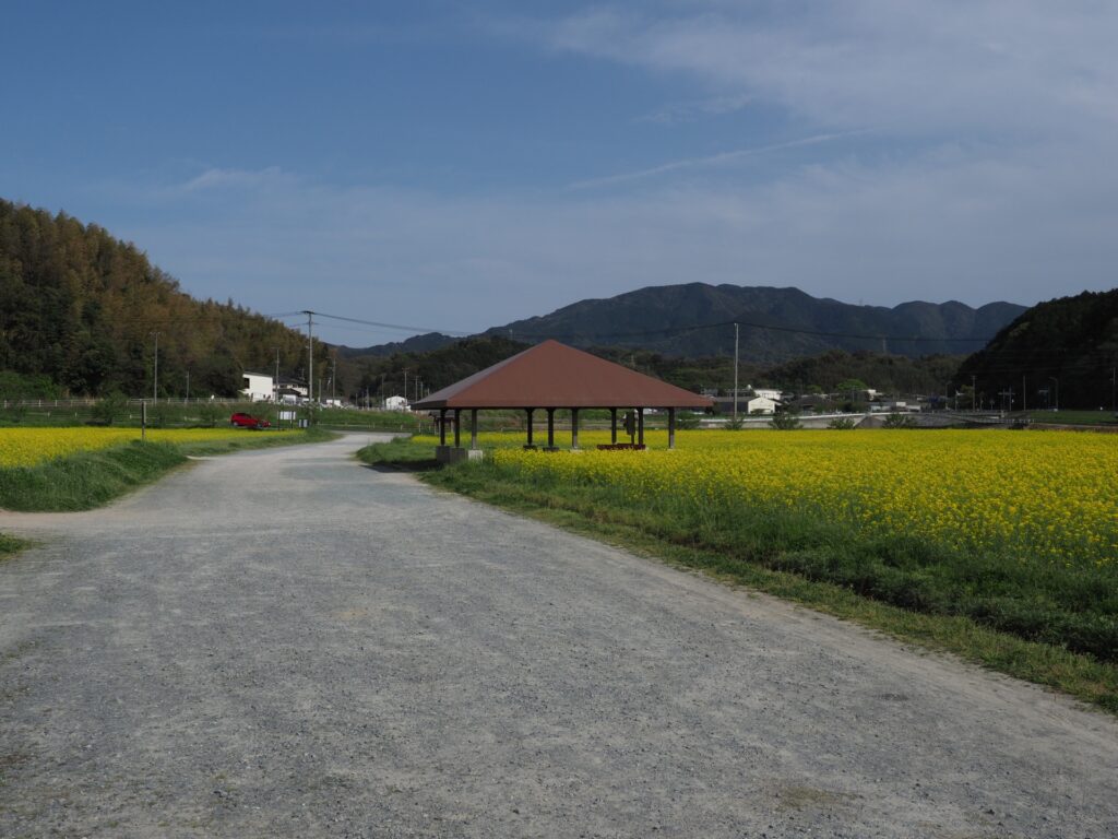 守口市の西郷川緑道公園