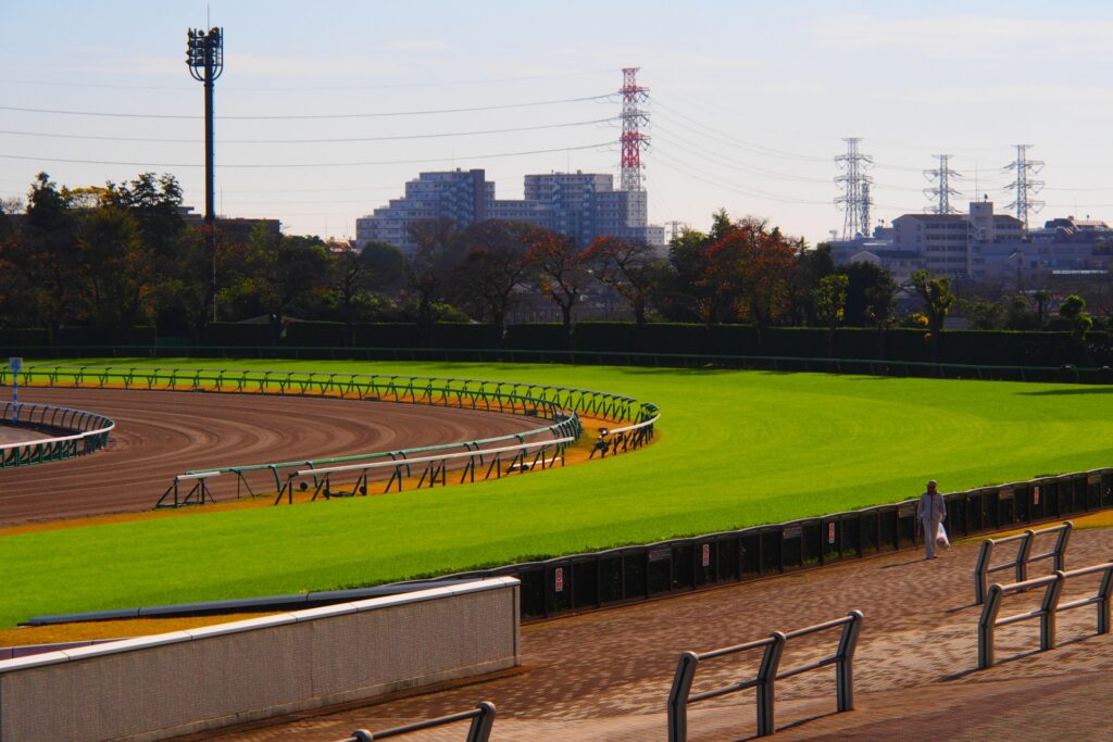 千葉県船橋市の中山競馬場のスタンド