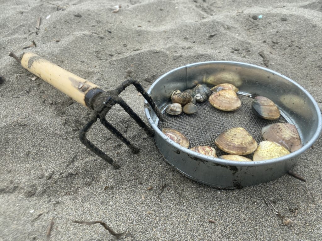 三重県桑名市の長島温泉近くの浜辺