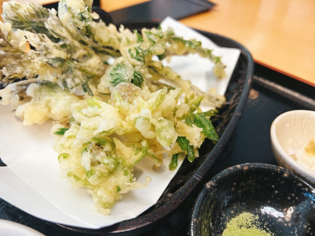 河内長野市の山菜の天ぷら