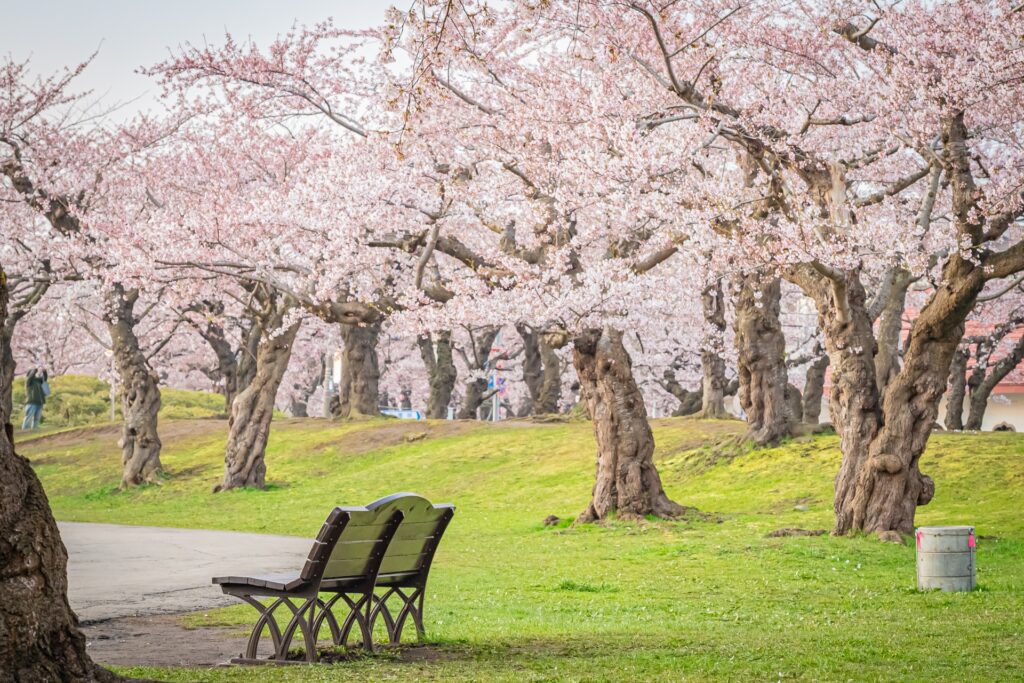 大阪府堺市北区の金岡公園