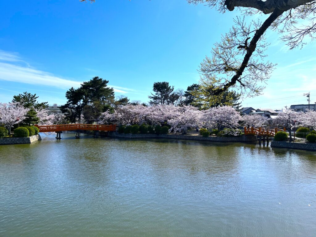 三重県桑名市の東養の津堤