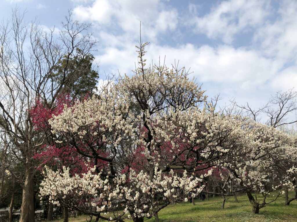 大阪府堺市南区の荒山公園