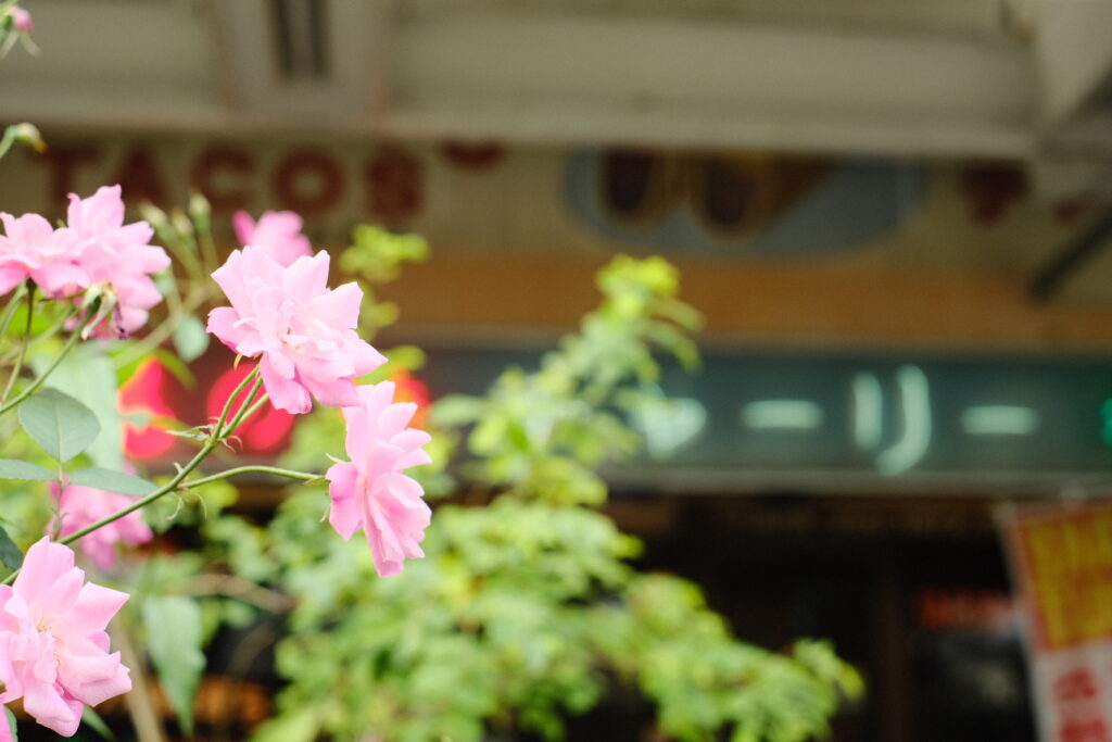 沖縄県沖縄市コザのレトロな商店街